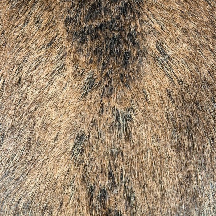 Boar wild skin auction catawiki ended viewing now has