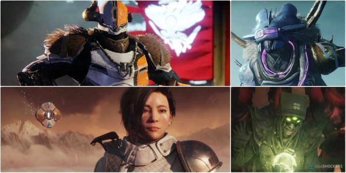 Destiny 2 character view