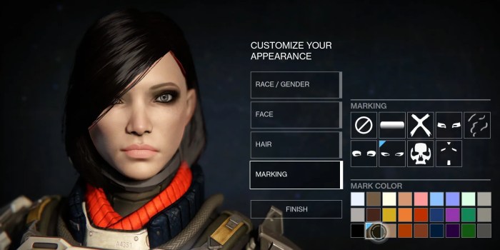 Destiny 2 character view