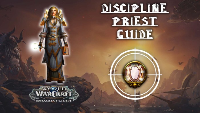 Best disc priest race