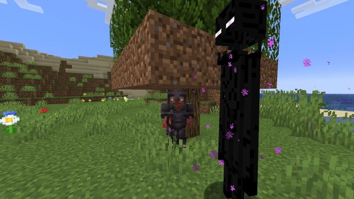 How to kill a enderman