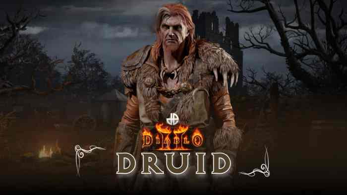 Resurrected druid diablo