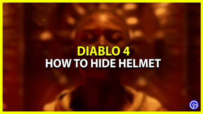 Hide helmet diablo 4