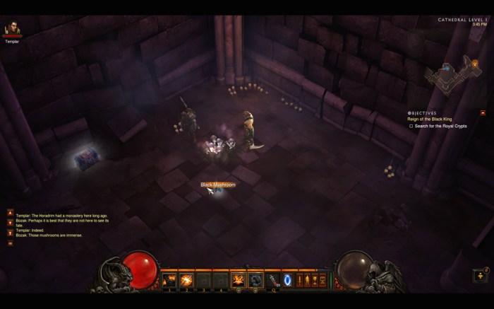 Diablo 3 black mushroom