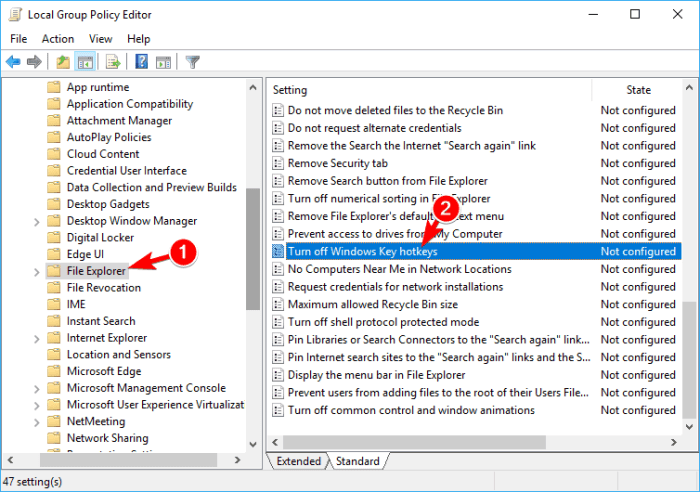 How to disable window key