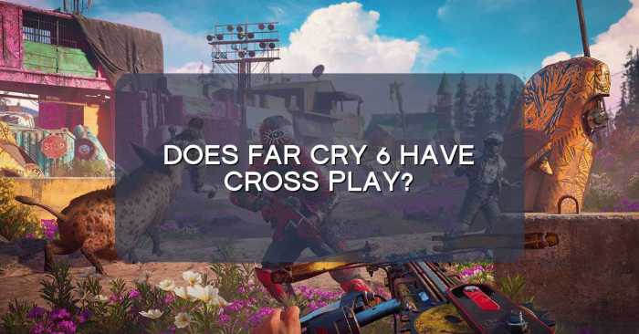 Far cry 6 cross play