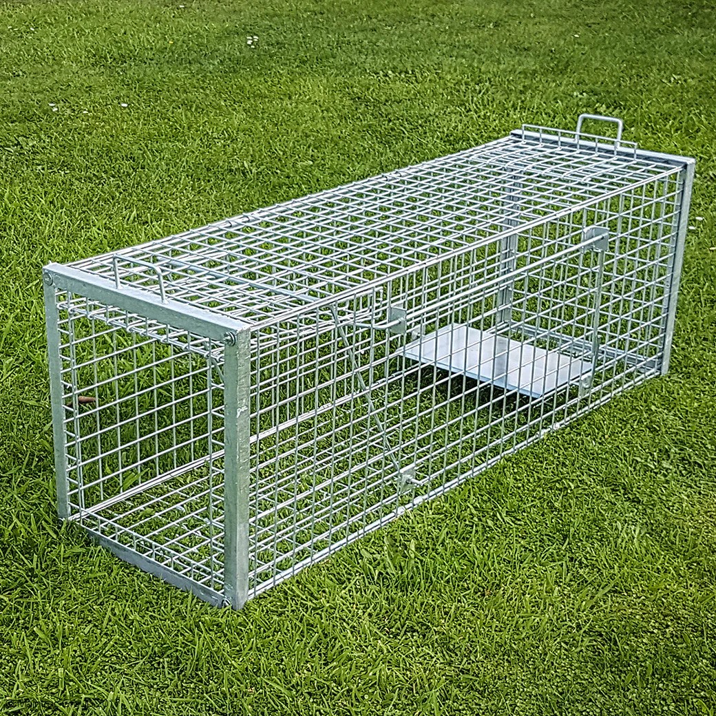 Large animal cage trap
