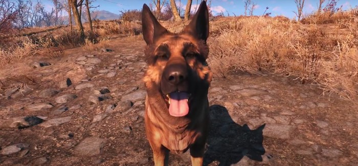 Can dog die in fallout 4