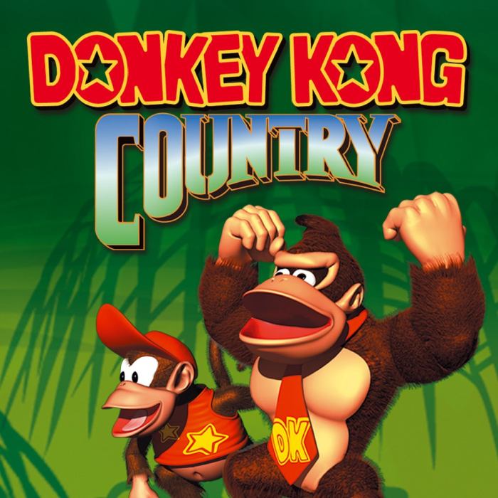 Dk country game over