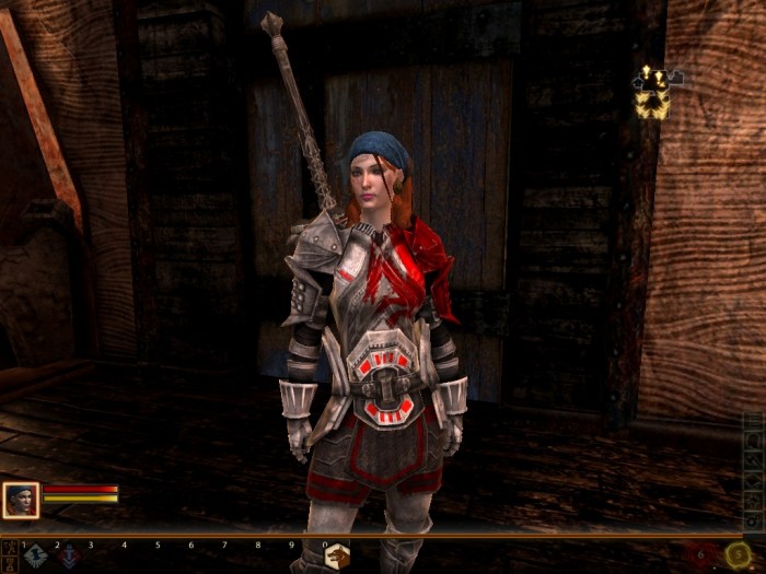 Dragon age 2 armour sets