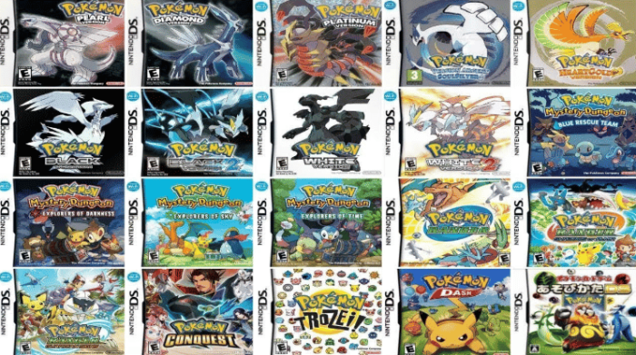 Nintendo ds pokemon game