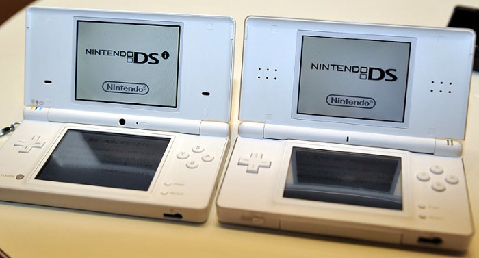 Ds and ds lite difference