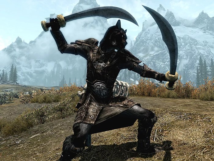 Dual wield build skyrim