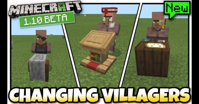 Villager wont accept job