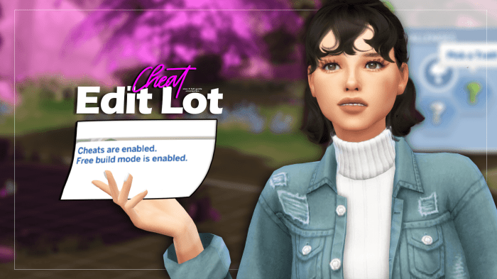 Sims 4 edit lot cheat