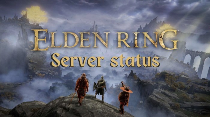 Elden ring servers down