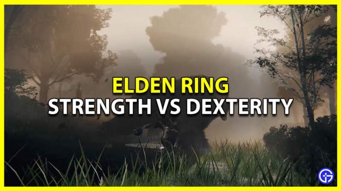 Str vs dex elden ring