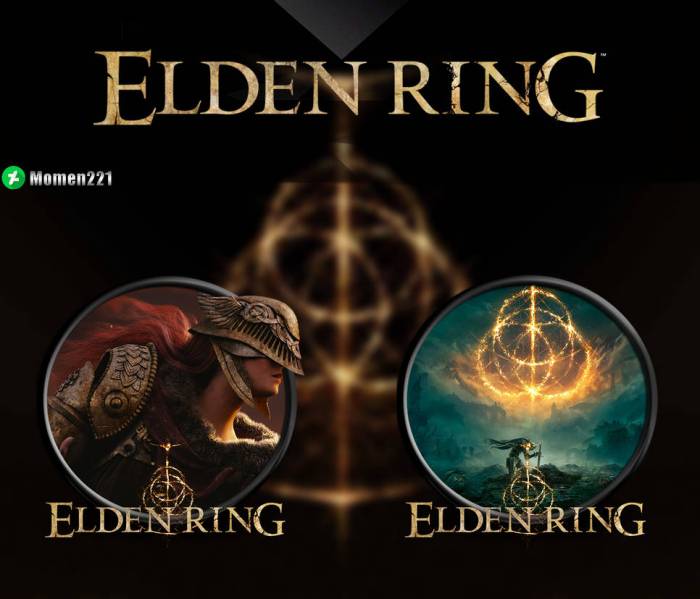 Elden ring buff icons