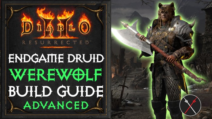 D2 druid werewolf build