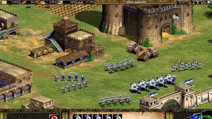 Age of empires 2 building