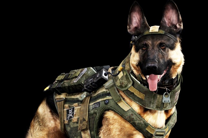 Call of duty riley dog