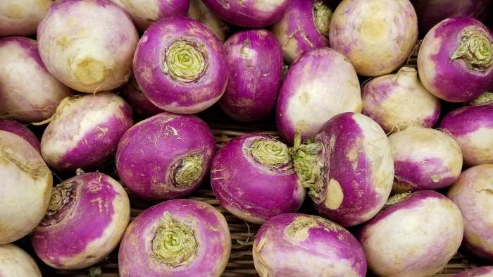 Turnips store vegetables