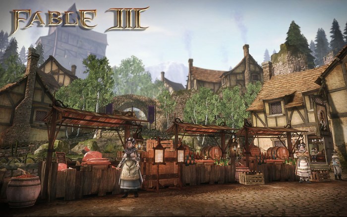 Is fable 3 split screen