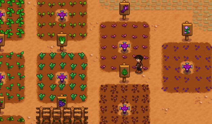 Best fall plants stardew