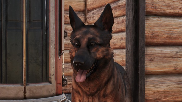 Fallout dog