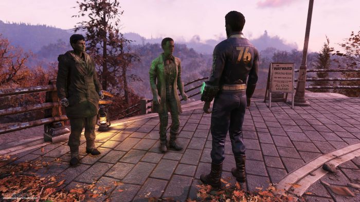 Fallout 76 character customization