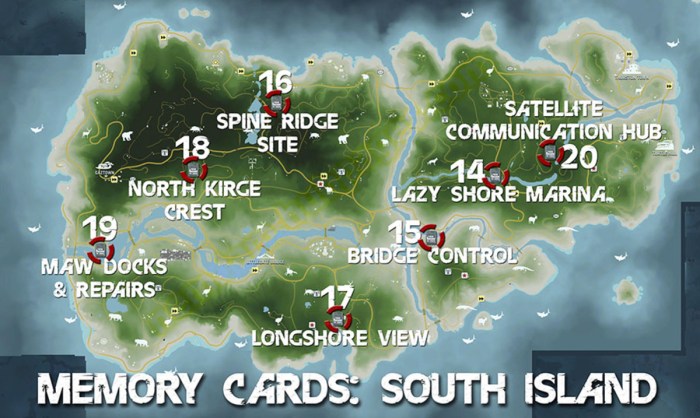 Far cry 3 memory cards