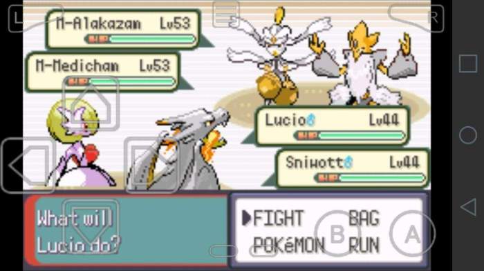 Pokemon emerald 7th gym