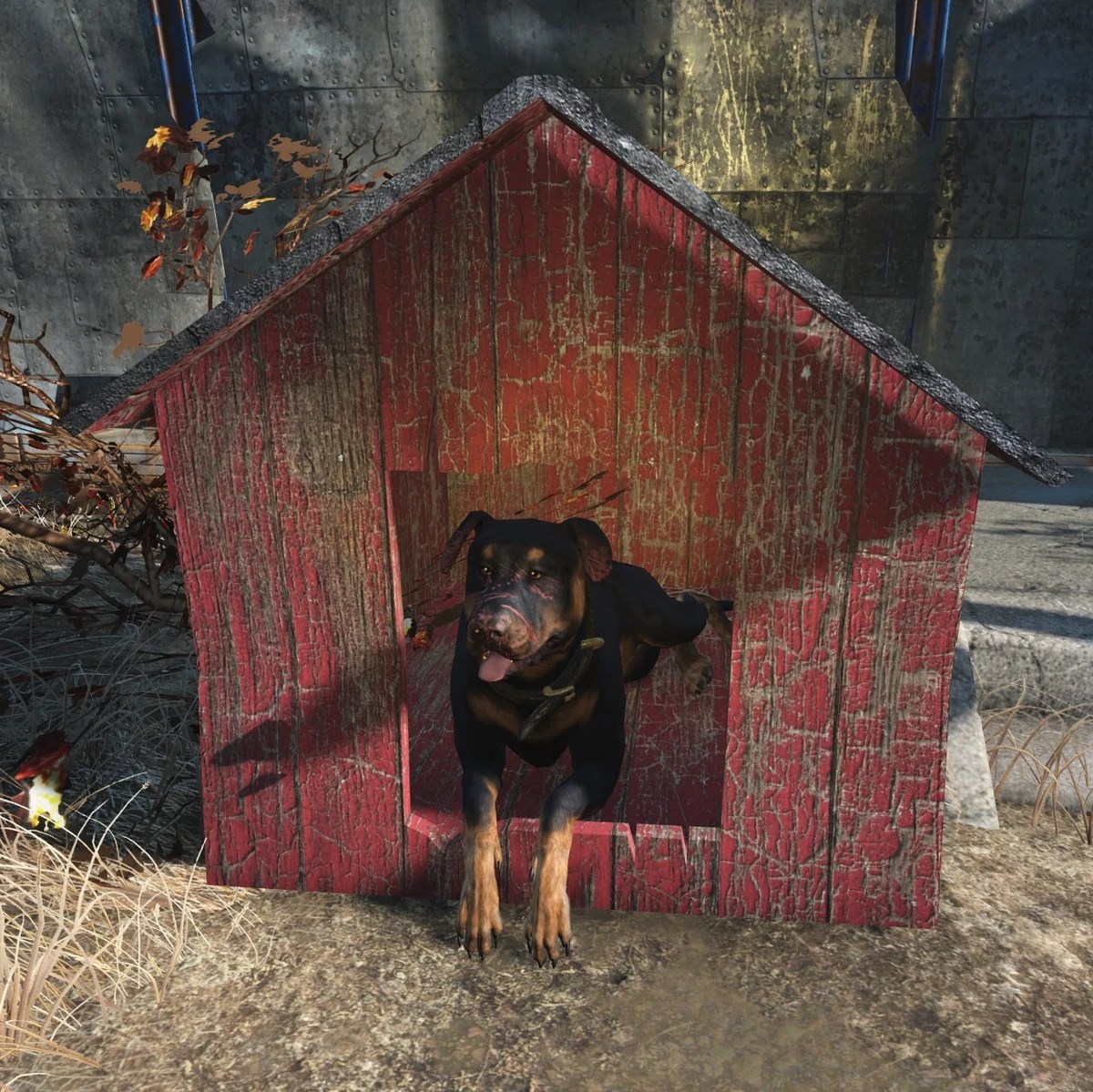 Fallout 4 junkyard dog