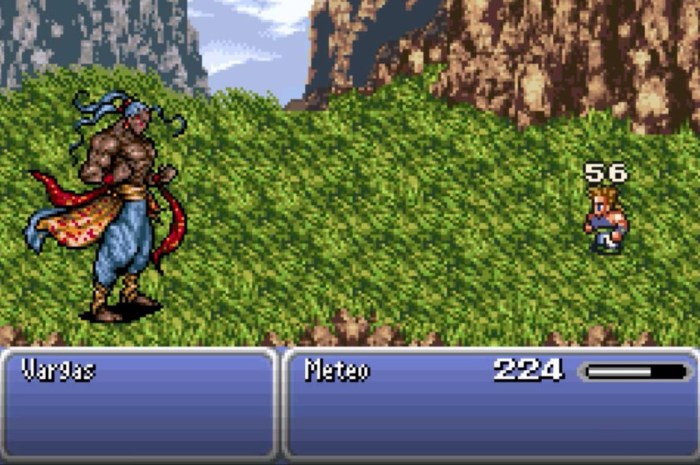 Final fantasy vi sabin