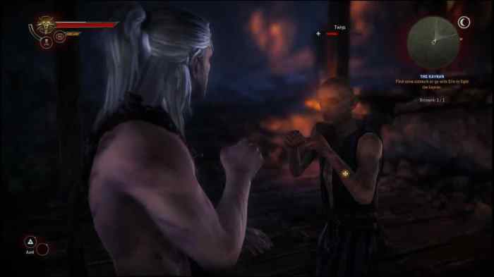 Fist of fury witcher 3