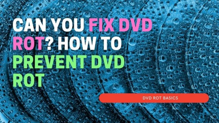 How to fix disc rot