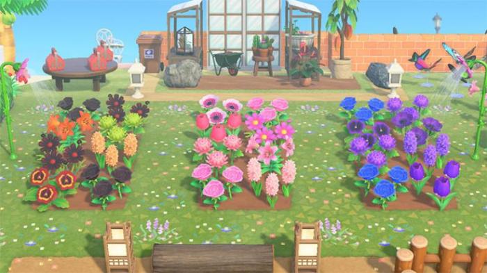 Acnh valley horizons hyacinth edits bushes animalcrossing suggestions tiffany xm those walkways fiel genetics acnl genes