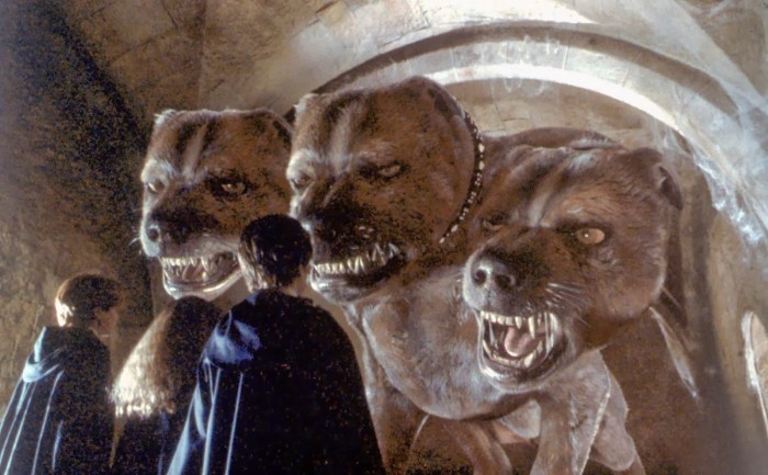 Dogs in harry potter