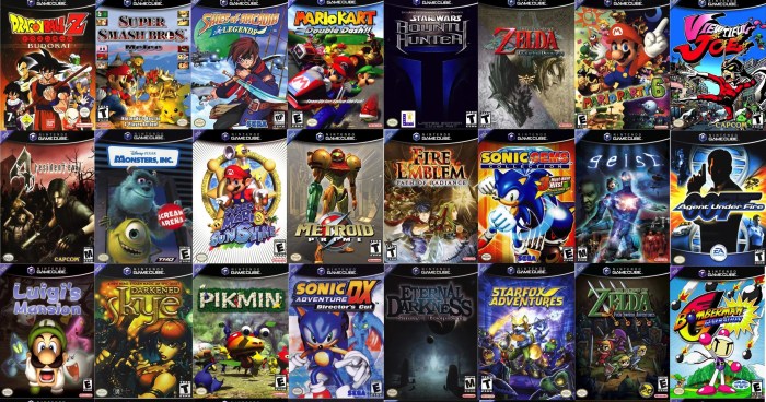 Gamecube damn