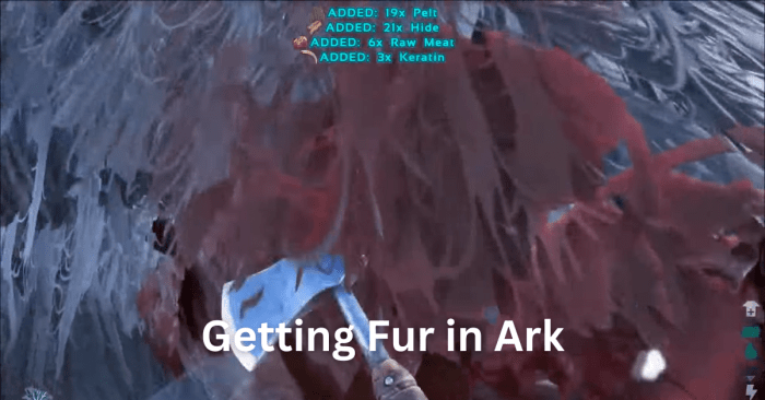 How to get fur in ark