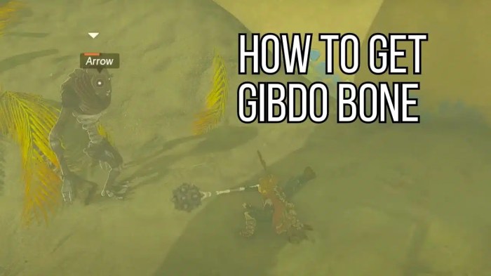 How to farm gibdo bones