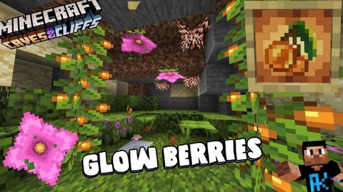 Glow berries not growing