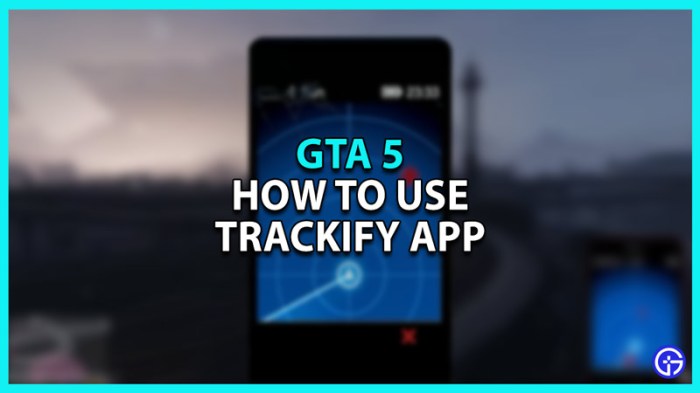 How to use trackify