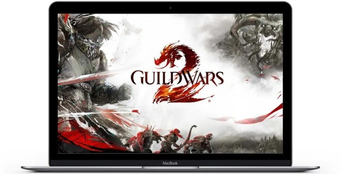 Guild wars 2 on macbook