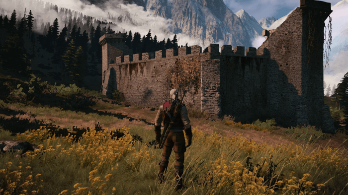 Witcher 3 gold farming