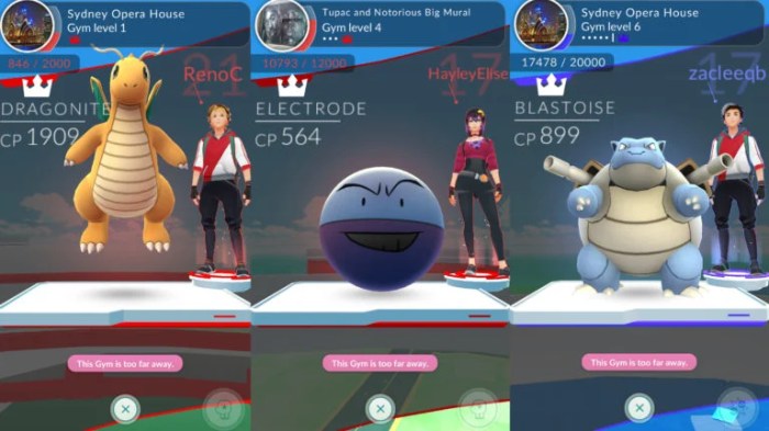 Gym go pertarungan menang jalantikus