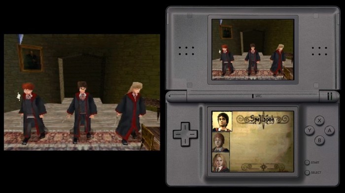 Nintendo ds harry potter