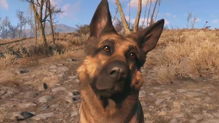 Lost dogmeat fallout 4