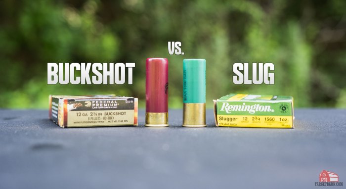 Slug vs buckshot damage