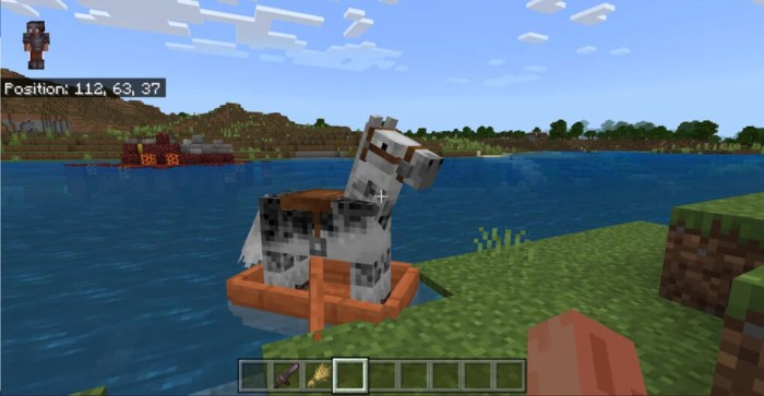 Can horses get in boats